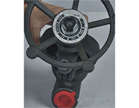 Y Globe Valve